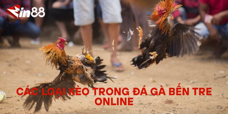 Đá Gà Bến Tre Online – Trải Nghiệm Đá Gà Đặc Sắc Từ Miền Tây Các Loại Kèo Trong Đá Gà Bến Tre Online