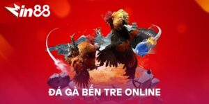 Đá Gà Bến Tre Online – Trải Nghiệm Đá Gà Đặc Sắc Từ Miền Tây