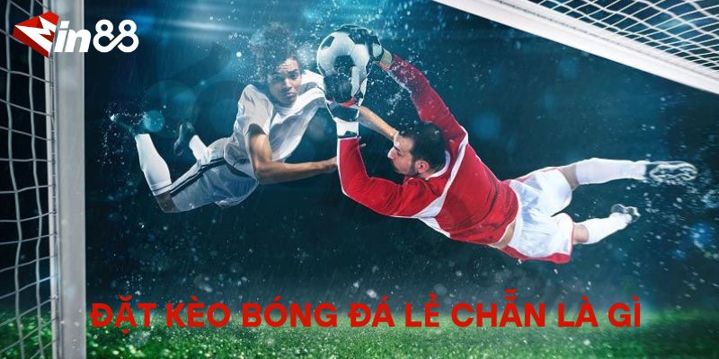 Đặt Kèo Bóng Đá Lẻ Chẵn Là Gì? Hướng Dẫn Chi Tiết Cho Người Mới Đặt Kèo Bóng Đá Lẻ Chẵn Là Gì