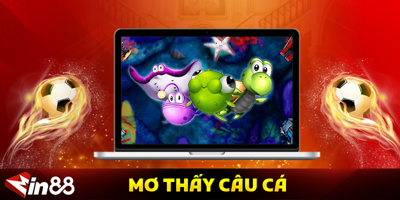 Mơ Thấy Câu Cá Là Điềm Gì? Giải Mã Ý Nghĩa Và Những Thông Điệp Tâm Linh