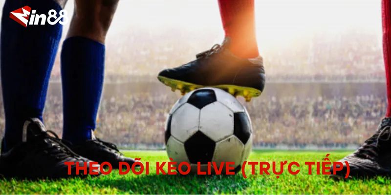 Bí Quyết Chinh Phục Kèo Chẵn/Lẻ Trong Cá Cược Thể Thao Theo Dõi Kèo Live (Trực Tiếp)