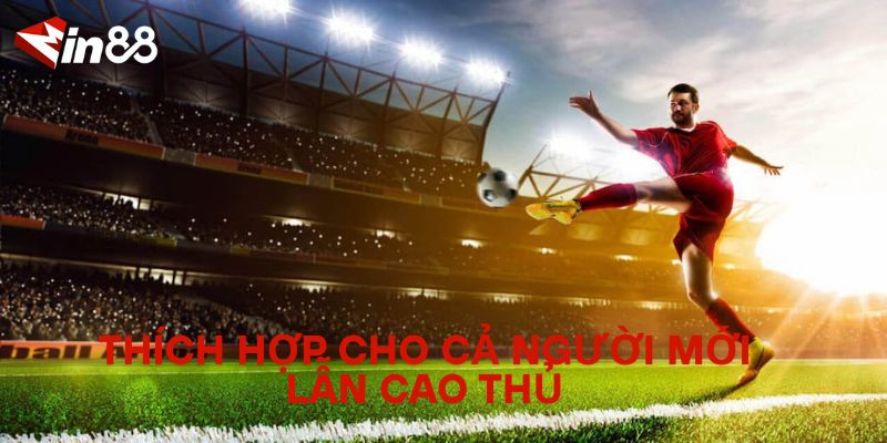 Bí Quyết Chinh Phục Kèo Chẵn/Lẻ Trong Cá Cược Thể Thao Thích hợp cho cả người mới lẫn cao thủ