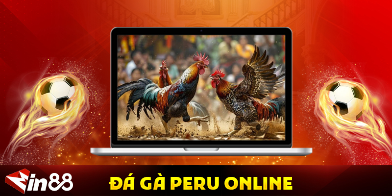 Đá Gà Peru Online – Trải Nghiệm Sân Chơi Đá Gà Quốc Tế